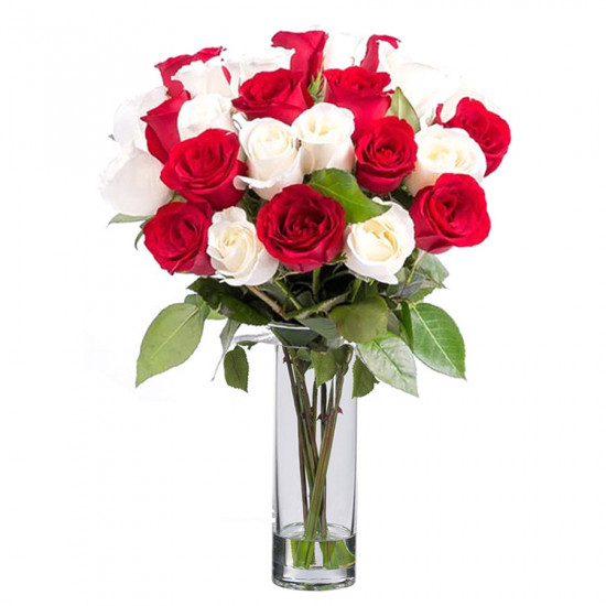 24 Imported White and Red Roses Bouquet 24 Imported White and Red Roses Bouquet